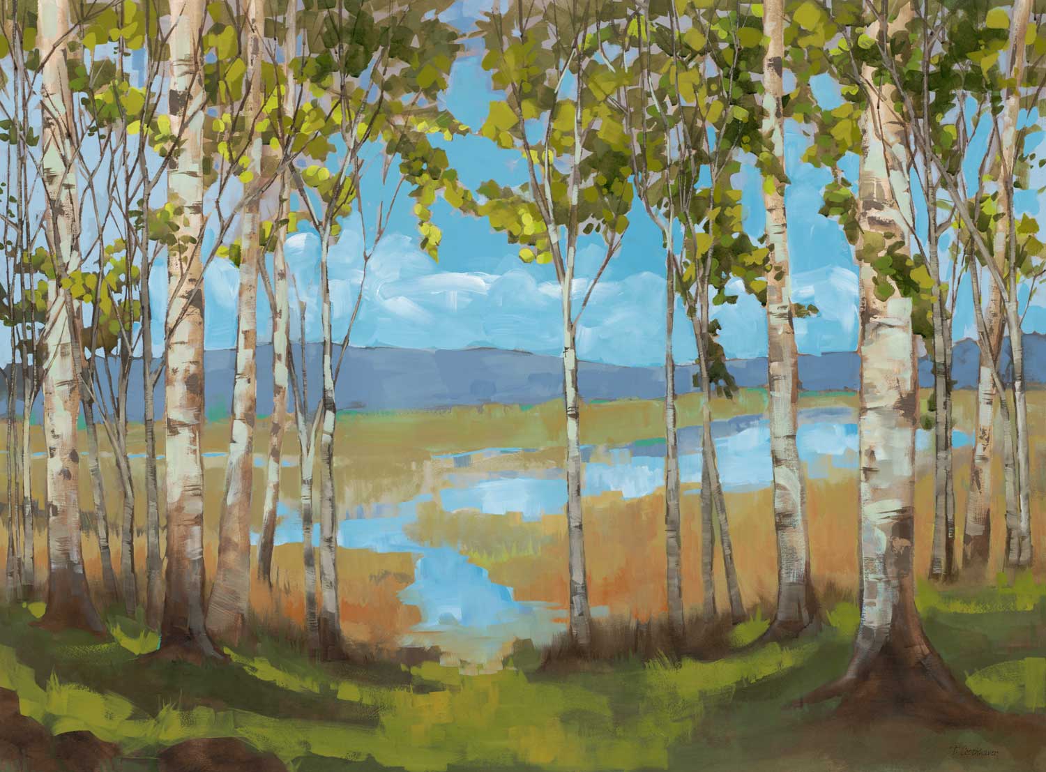 Aspen Springs Aspen Springs