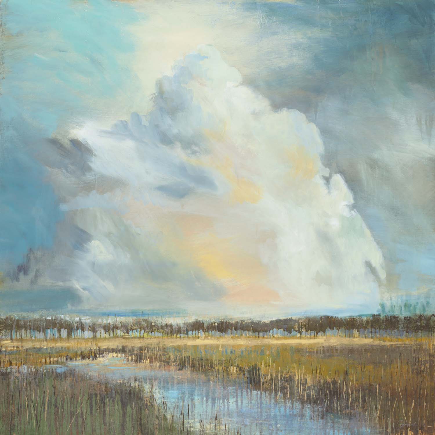 Vanishing Wetlands Vanishing Wetlands