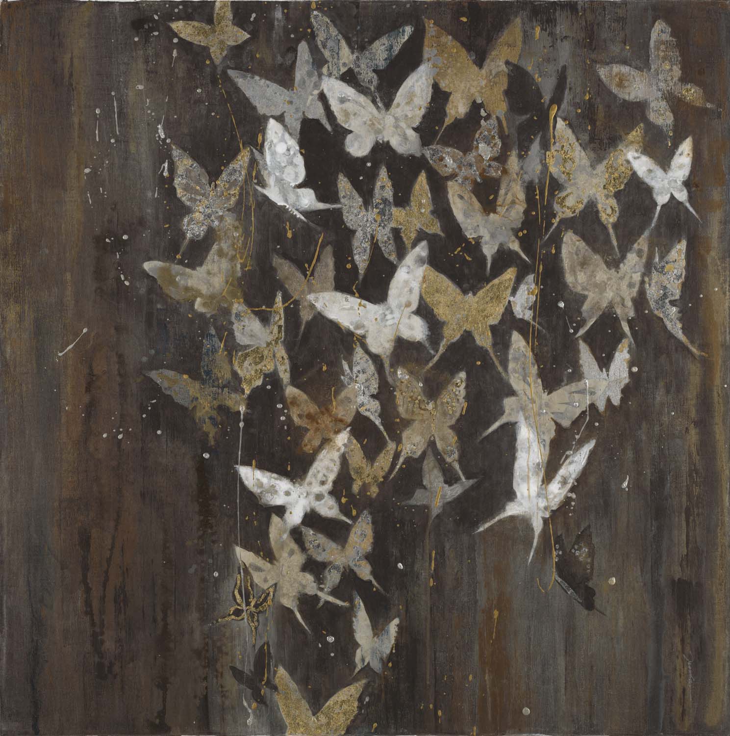 Social Butterflies Social Butterflies