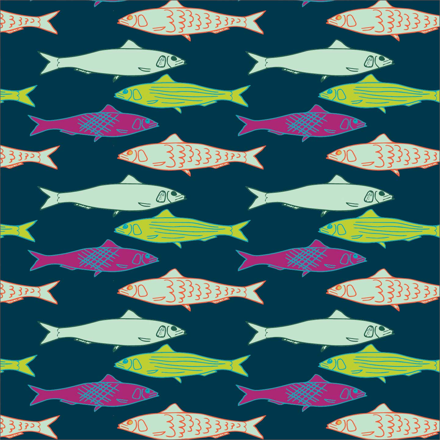 Sardines P21 Sardines P21