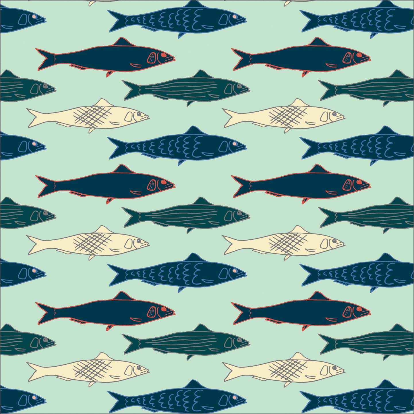Sardines P24 Sardines P24