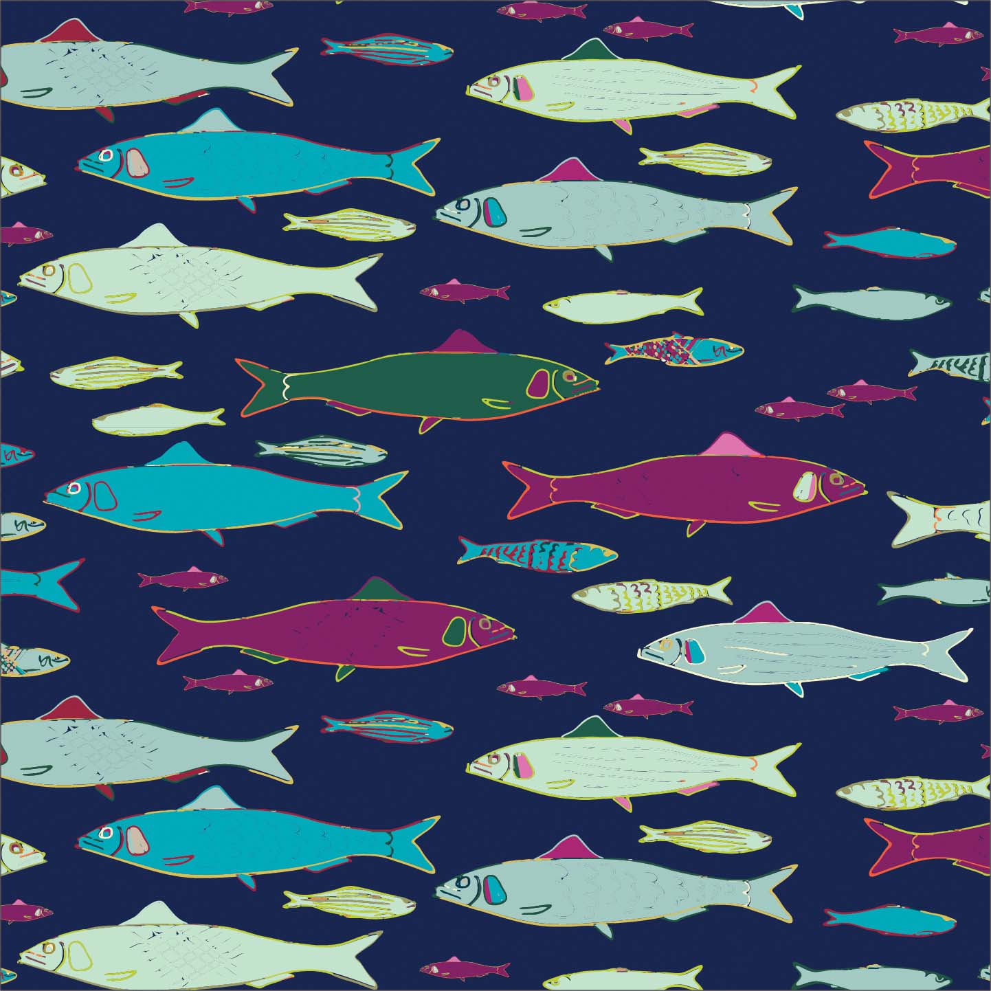 Sardines P26 Sardines P26
