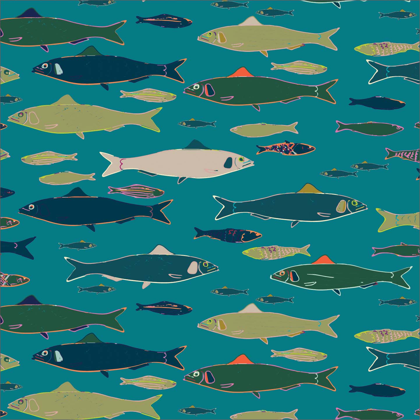 Sardines P27 Sardines P27