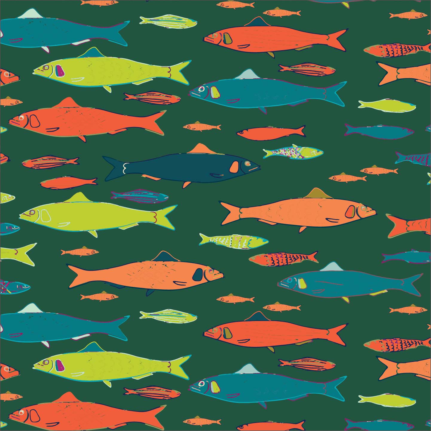 Sardines P28 Sardines P28