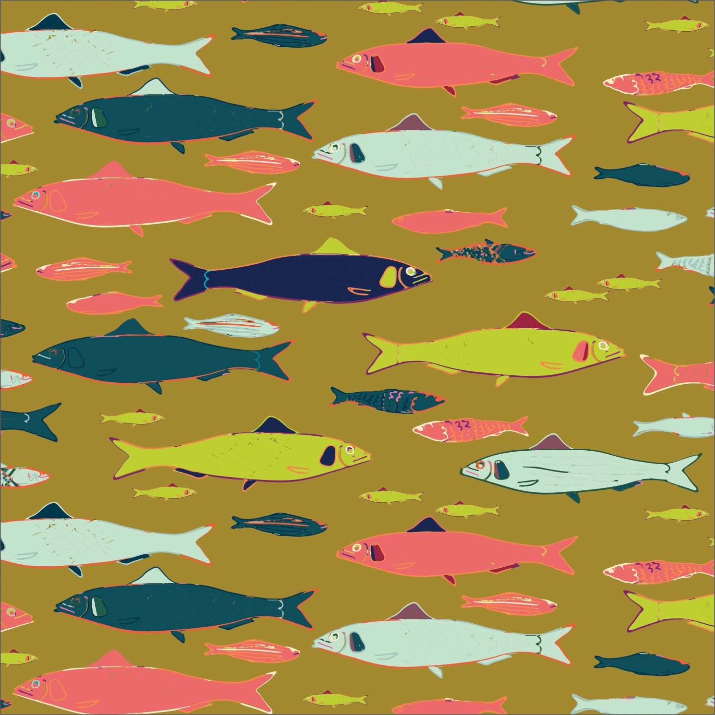 Sardines P29 Sardines P29