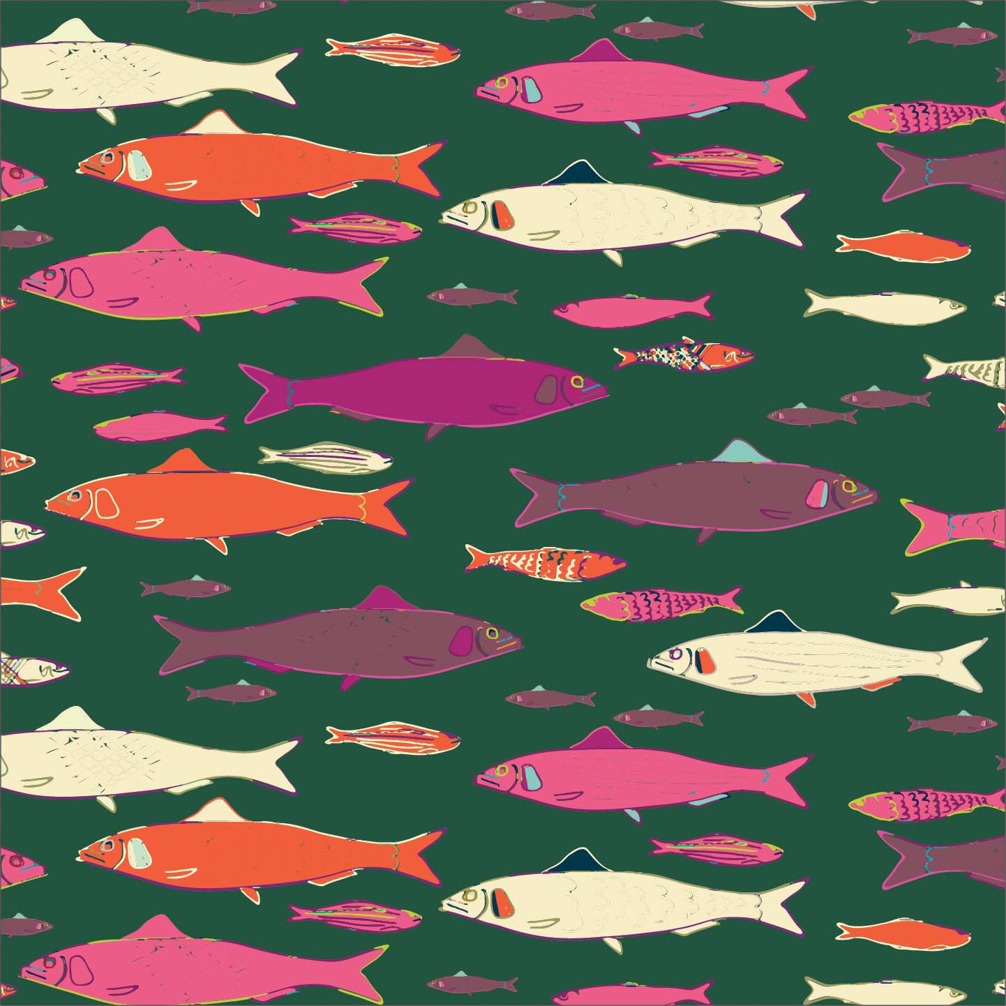 Sardines P30 Sardines P30