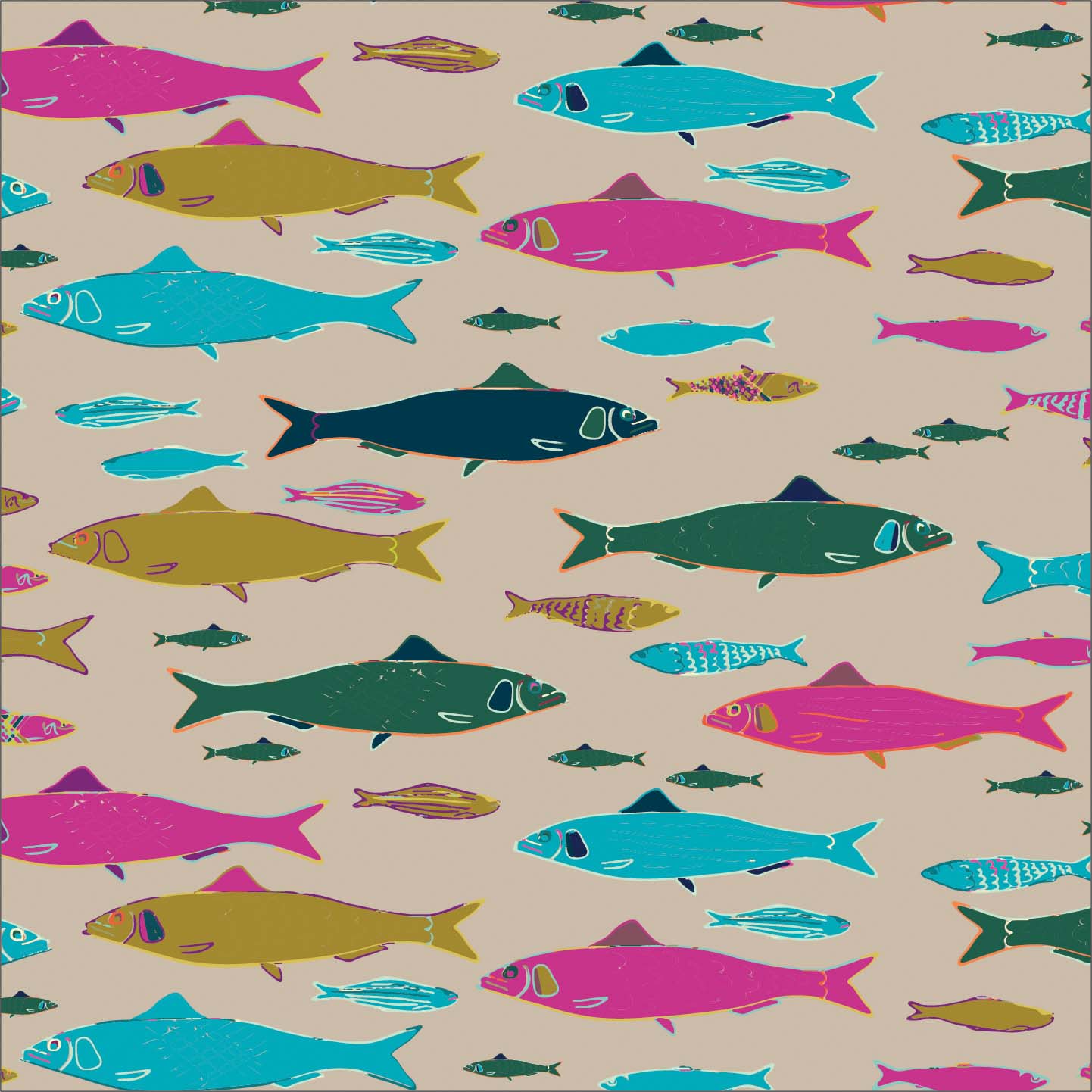 Sardines P31 Sardines P31
