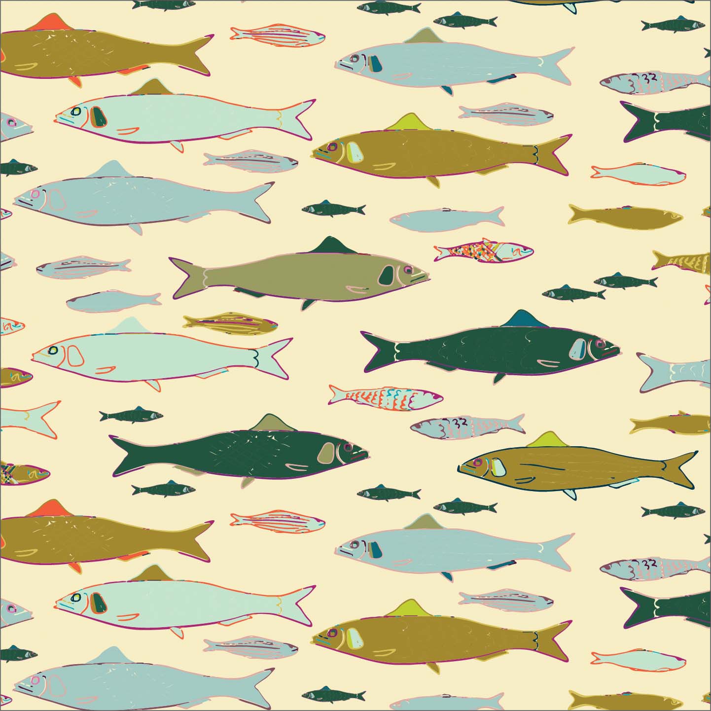 Sardines P35 Sardines P35