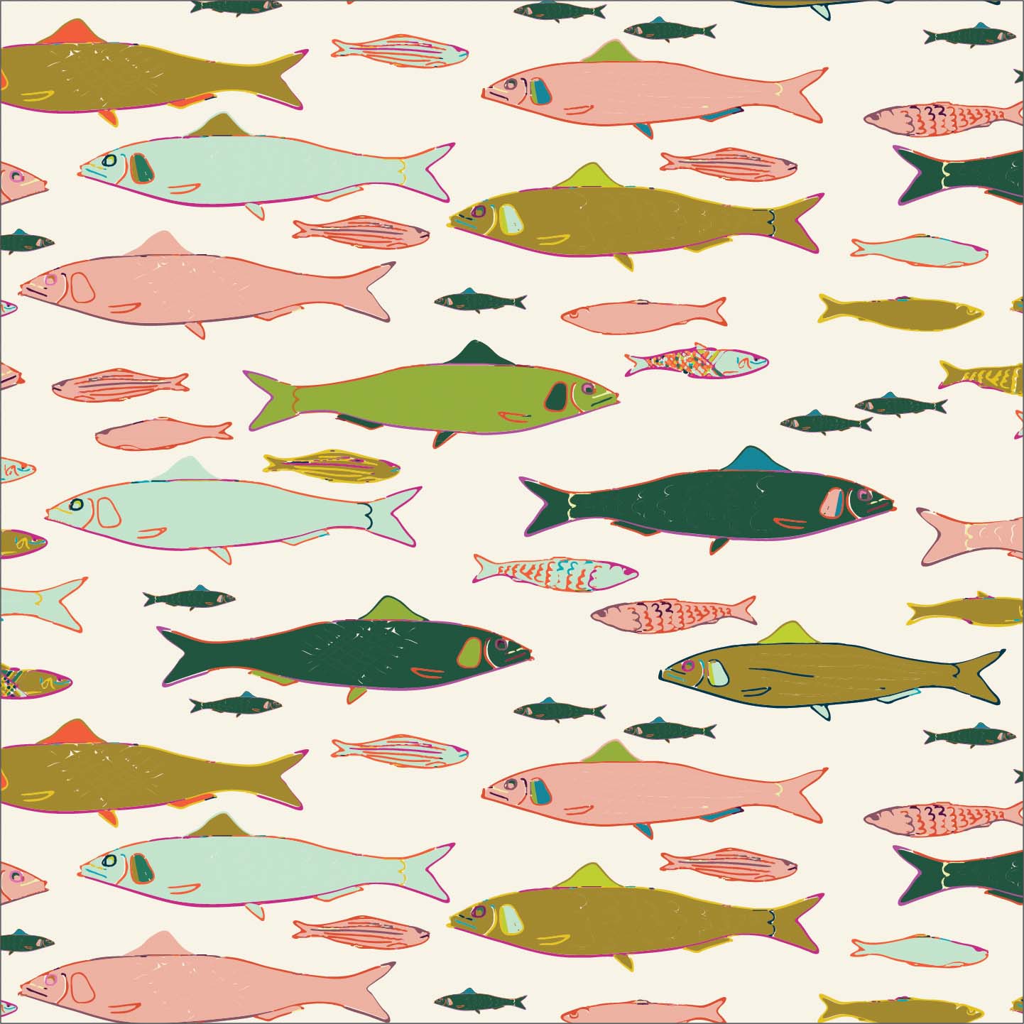 Sardines P37 Sardines P37